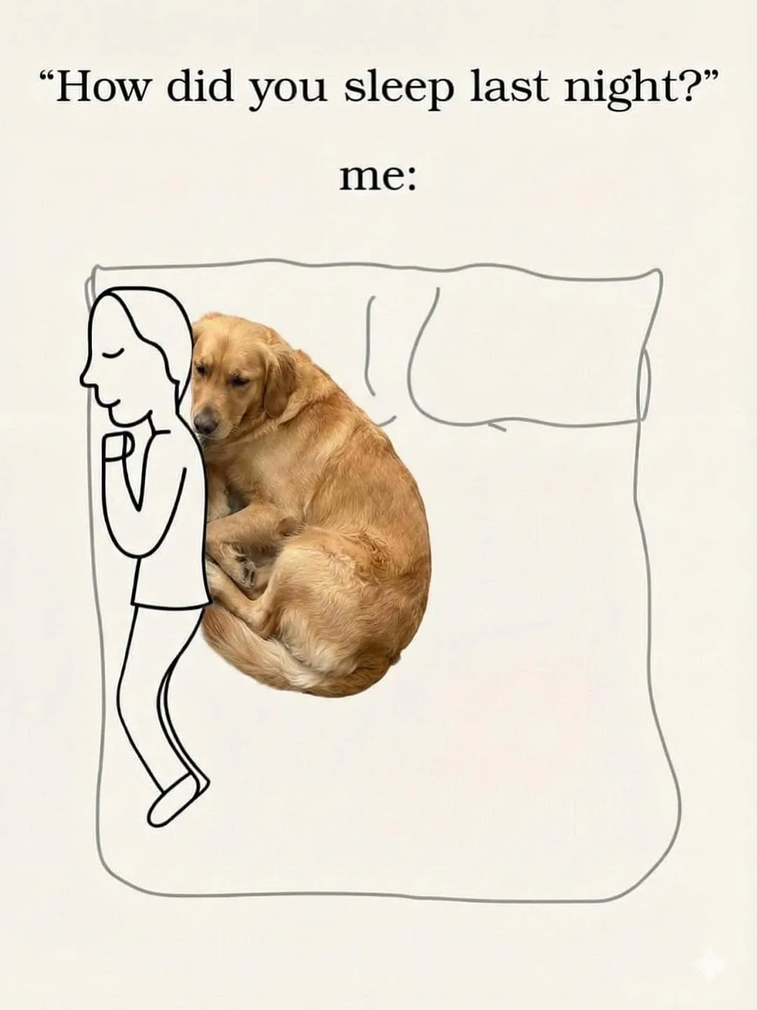 I slept great... but someone else slept even better π΄
.
.
.
Follow me: β‘ @goldenretrievers_lovers_ For More π . . . .
#goldenretriever #goldenretrievers #goldenretrieverpuppy #goldenretrieversofinstagram #goldenretrieverlove #goldenretrieverlovers #goldenretrieversworld #goldenretrieverworld #goldenretrievertoday #goldenretrieverpuppies #goldenretrieverofinstagram #goldenretrieverlover #goldenretrieversofig #goldenretrieverphotos #goldenretriever360 #goldenretrieverslovex #goldenretriever_pictures #goldenretrievershirt #goldenretrieversarethebest #goldenretrieverproblems #goldenretrieveroninstagram #goldenretrievermix #goldenretrieverpuppys #goldenretrieverph #goldenretrievergram